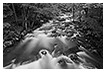 Little Stoney Creek in Spring, Giles County, VA