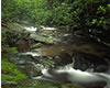 Feeding White Rock Falls, Blue Ridge Parkway, VA