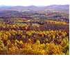 Golden Fall Vista, Blue Ridge Parkway, VA