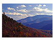 Fall View on the Trail to White Rock Falls, Blue Ridge Parkway, VA