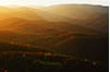 Last Fall Light from the Blue Ridge Parkway, VA