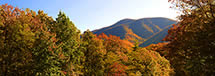 Black Rock Mountain Panorama in Fall, Nelson County, VA