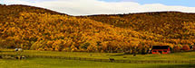 Nelson County Horsefarm in Fall, VA