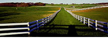 Albemarle County Horsefarm with White Fences, VA