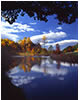 Fall Morning on the Monticello Trail, Albemarle County, VA