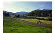 Greenholler Farm, Covesville, VA