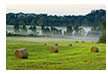 Foggy Morning on a Greene County Farm, VA