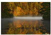 Fall Reflection at the Ivy Creek Natural Area, Albemarle County, VA