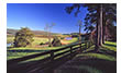 Albemarle County Farmland, VA