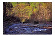 Moorman's River in Spring, Albemarle County, VA