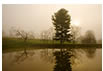 Foggy Morning on a Pantops Mountain Pond, Albemarle County, VA