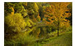 Fall on the Monticello Trail Pond, Albemarle County, VA