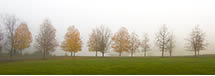 Pantops Mountain Panorama in Fog, Albemarle County, VA