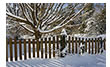 Fence Patterns on Snow, Charlottesville, VA