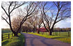 Ashlawn Highlands Road in Early Spring, Albemarle County, VA