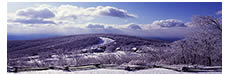 Wintergreen Mountain After the Icestorm, Nelson County, VA