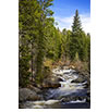 Glacier Creek on Bear Lake Road, Rocky Mountain National Park, CO