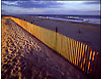 Assateague Island Beach, Eastern Shore, VA