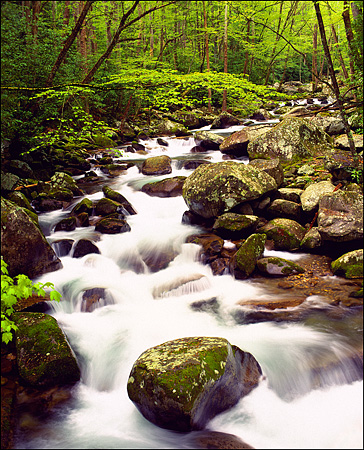 Boulder on Big Creek, Great Smokey Mountains National Park, TN