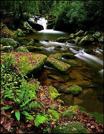 Downriver on the Roaring Fork, Great Smokey Mountains National Park, TN