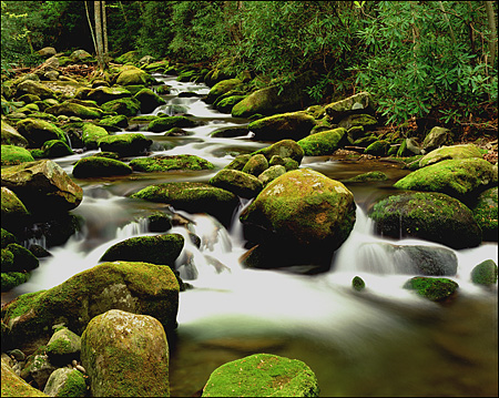 The Roaring Fork, Great Smokey Mountains National Park, TN