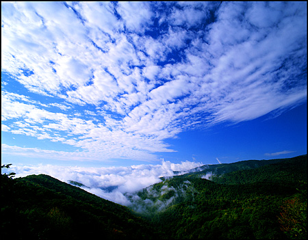 Mountaintop Clouds, Great Smokey Mountains National Park