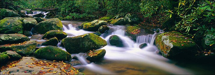 The Roaring Fork, Great Smokey Mountains National Park, TN