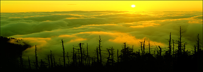 Golden Sunrise from Clingman's Dome, Great Smokey Mountains National Park