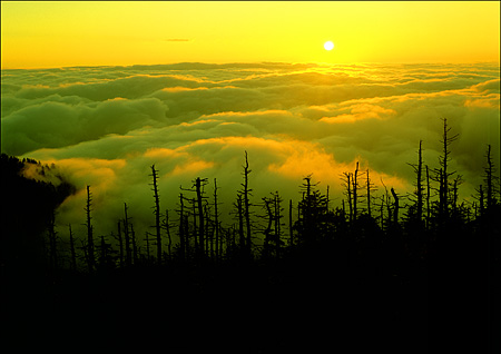 Golden Sunrise from Clingman's Dome, Great Smokey Mountains National Park