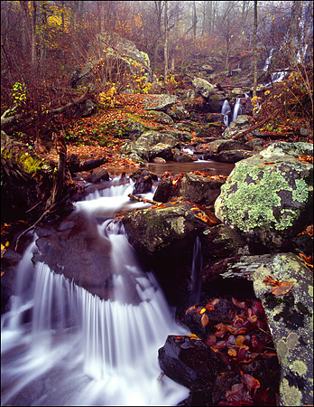 Rose River in Fall, Shenandoah National Park, VA