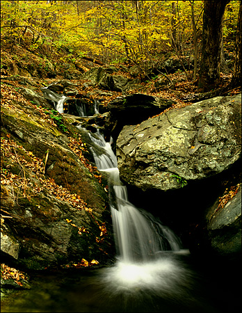 Downriver from Doyle's River Falls, Shenandoah National Park, VA