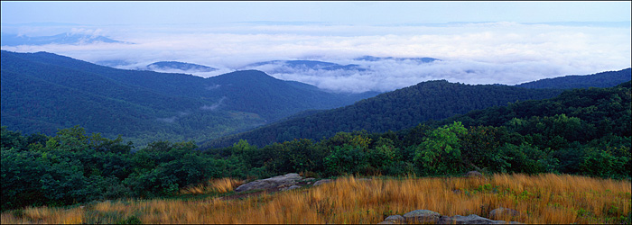 Early Morning on the Skyline Drive, Shenandoah National Park, VA