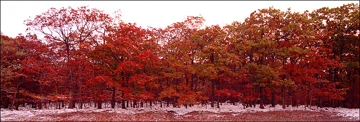 Early Snowfall in Shenandoah National Park, VA