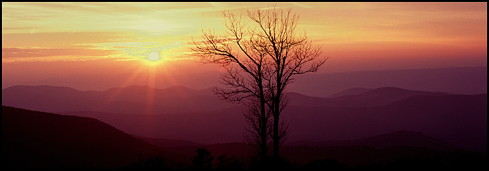 Approaching Sunset on Skyline Drive, Shenandoah National Park, VAA