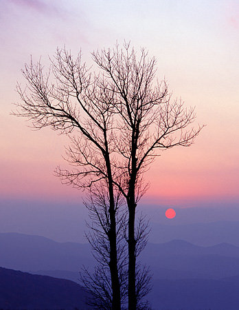 Setting Sun on Skyline Drive, Shenandoah National Park, VA