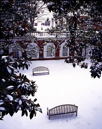 Benches in the Snow, UVA