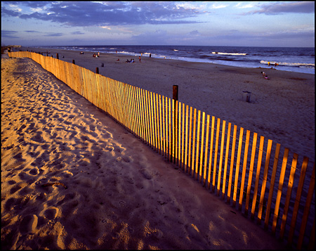 Assateague Island Beach, Eastern Shore, VA