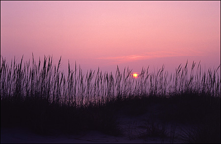 Sunrise at Back Bay National Wildlife Refuge, Virginia Beach, VA