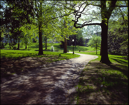 Capitol Square Walkway in Spring, Richmond, VA