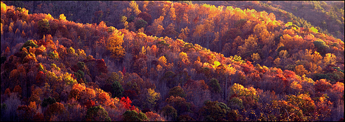 Fall in George Washington National Forest, VA