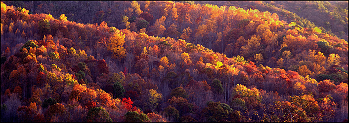 Fall in George Washington National Forest, VA