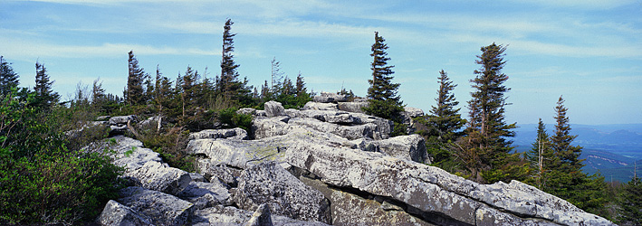 Early Spring at Dolly Sods, WVA