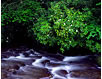 Oconaluftee River in Spring, Great Smokey Mountains National Park