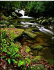 Downriver on the Roaring Fork, Great Smokey Mountains National Park, TN