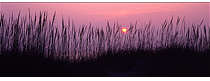 Sunrise at Back Bay National Wildlife Refuge, Virginia Beach, VA