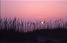 Sunrise at Back Bay National Wildlife Refuge, Virginia Beach, VA