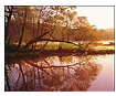 Golden Sunrise on the James River, Richmond, VA 