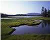  Bass Harbor Marsh, Mount Desert Island, Maine