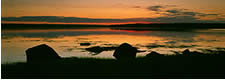  Early Morning Shoreline, Maine