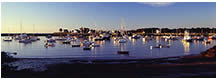 Early Morning Light on a Cove, Maine